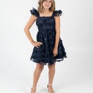 Big Girls 3D Floral Embroider Mesh Social Dress, Navy Blue